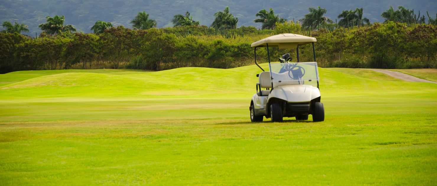 Golf cart